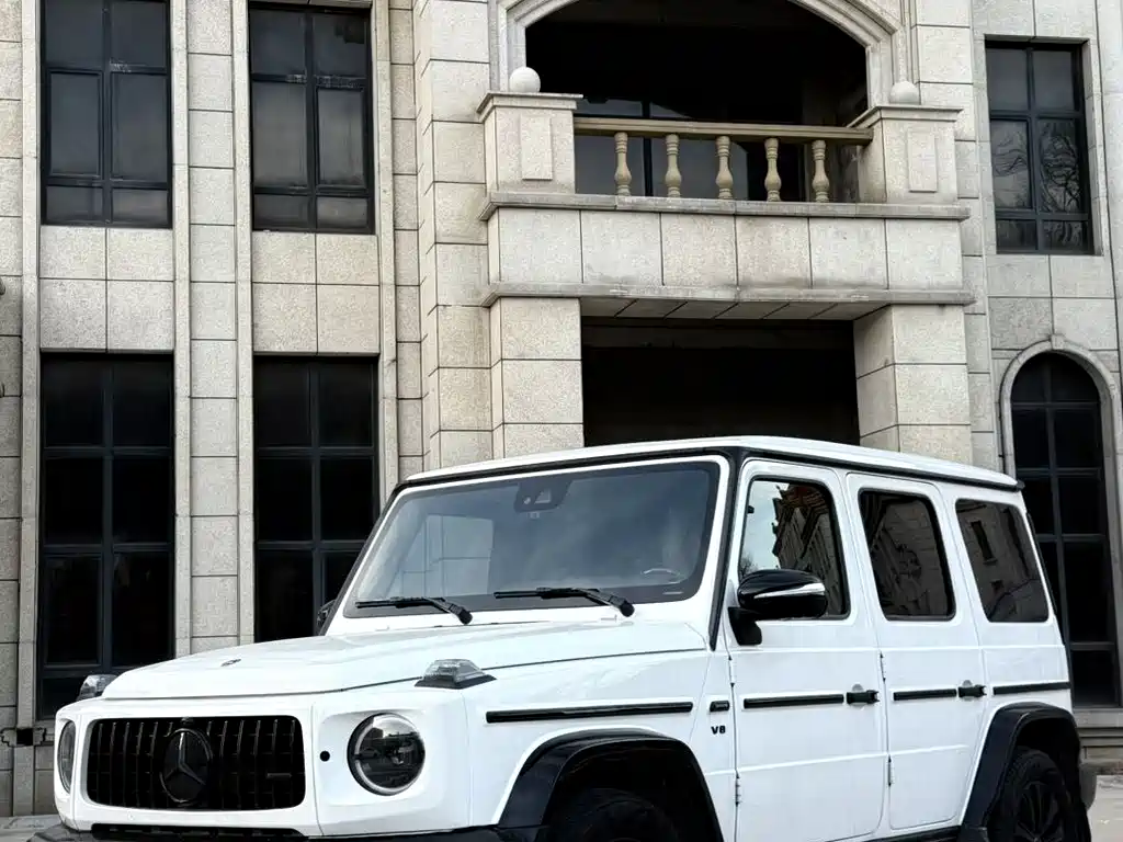 MERCEDES-BENZ G CLASS