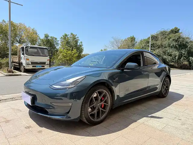 TESLA MODEL 3 2023
