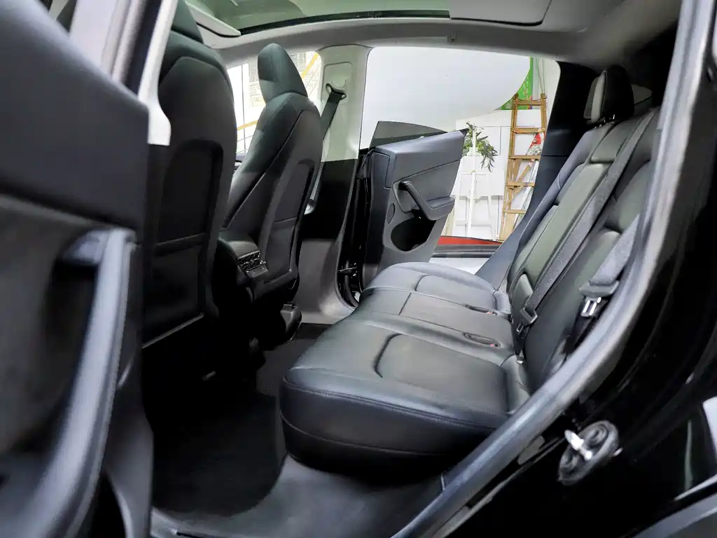 Tesla Model Y — миниатюра 11