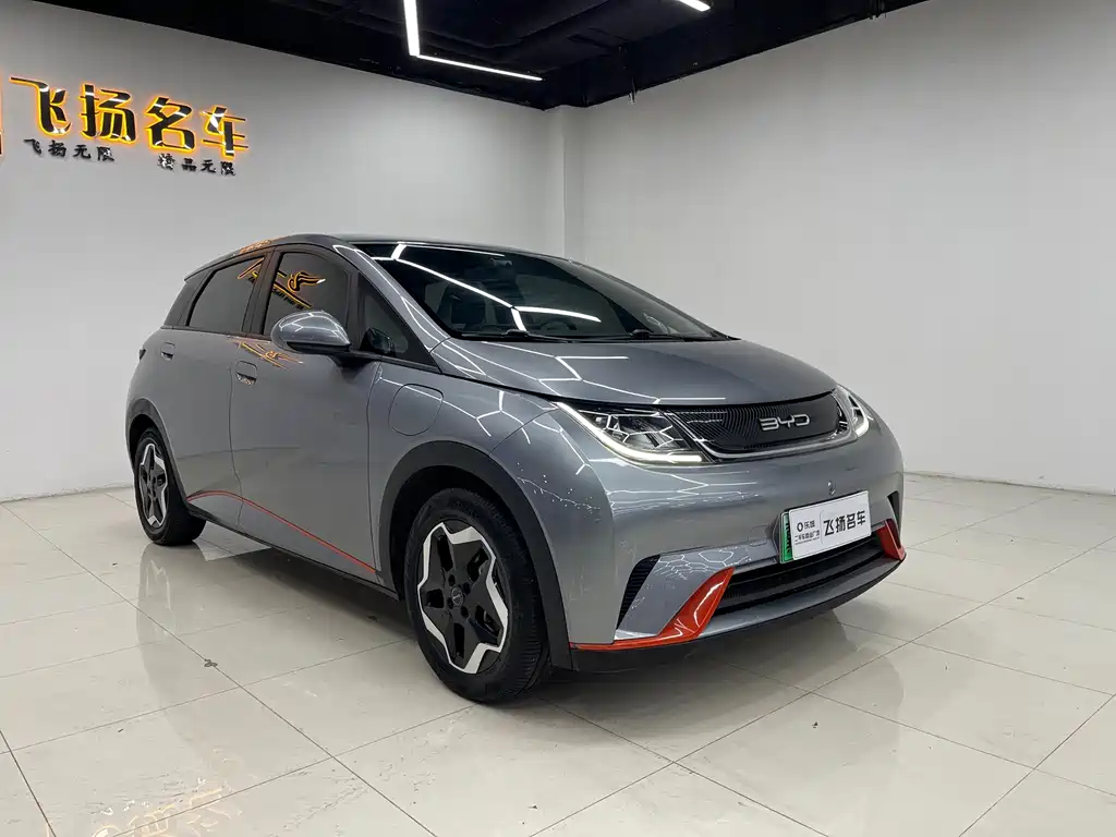 BYD Dolphin — миниатюра 3