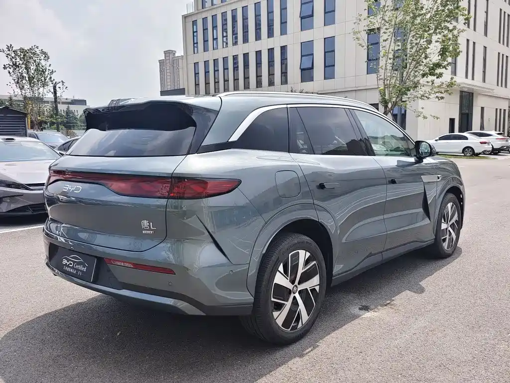 BYD Дон Л. — миниатюра 9