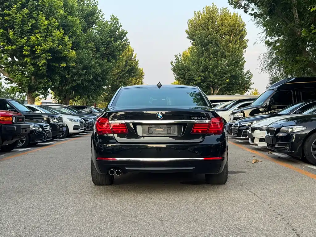 BMW 7 Series 730Li Premium Enjoy Type, фото 4