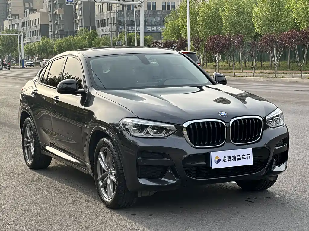BMW X4 2021 xDrive 25i M Sport