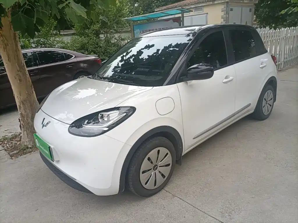 Wuling Binguo 2024 203km