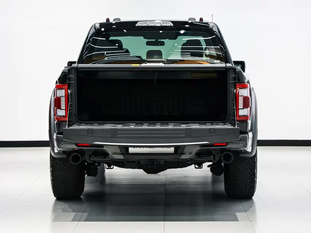 Ford F-150 Raptor — миниатюра 12