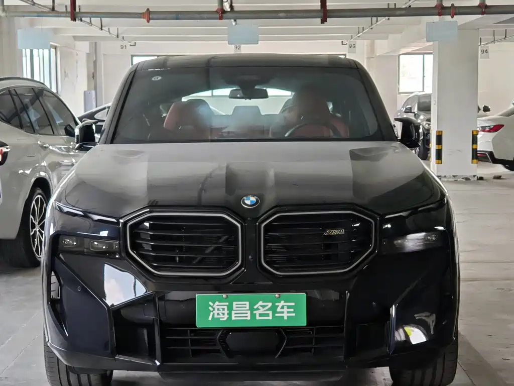 BMW XM Basic Type, фото 4
