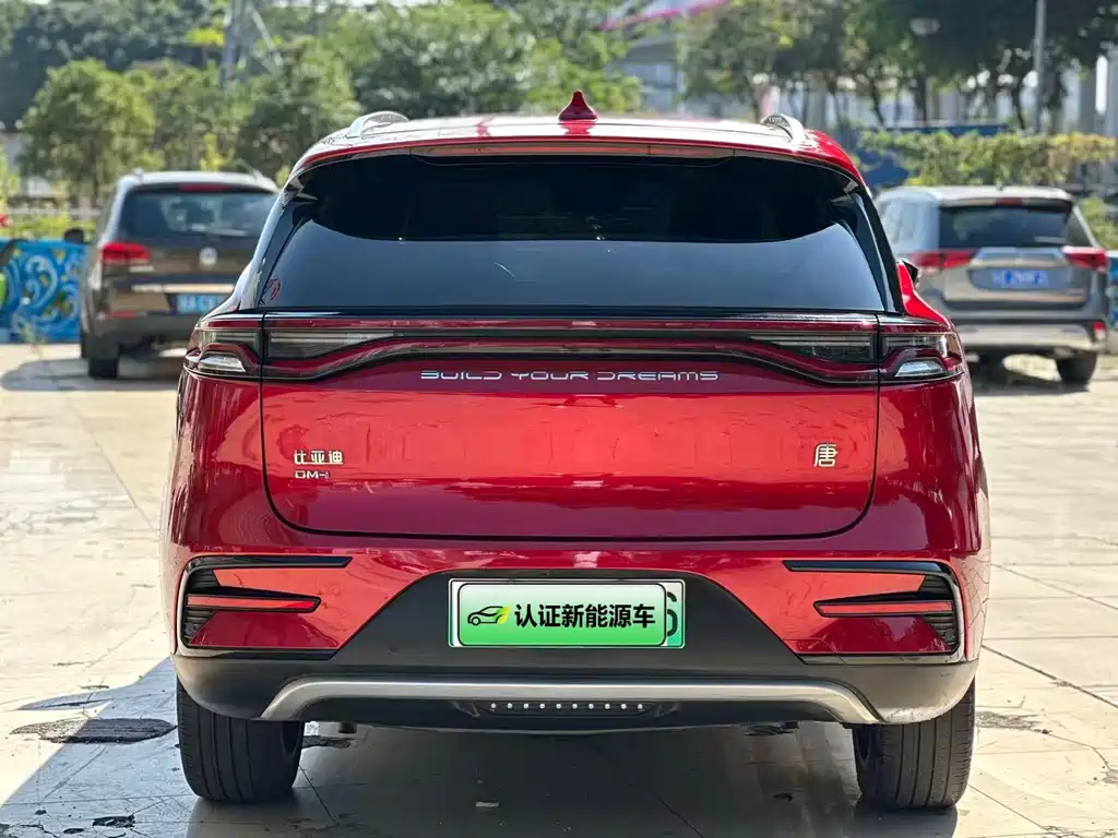 BYD Tang New Energy - фото 6