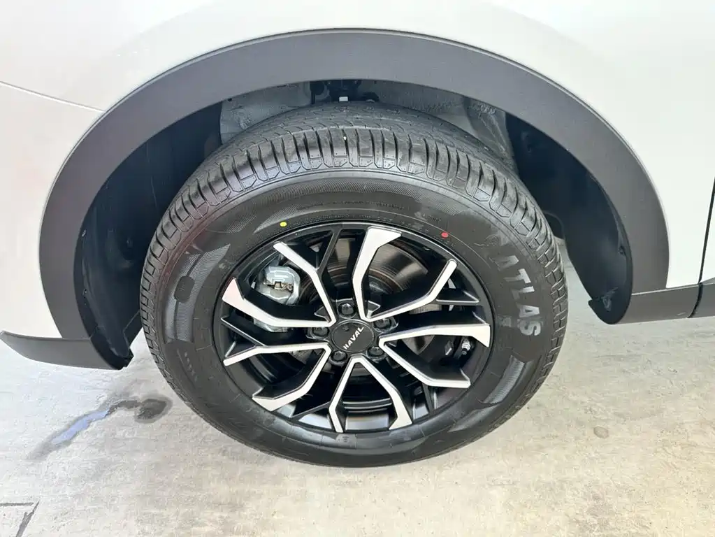 Haval H6 — миниатюра 4