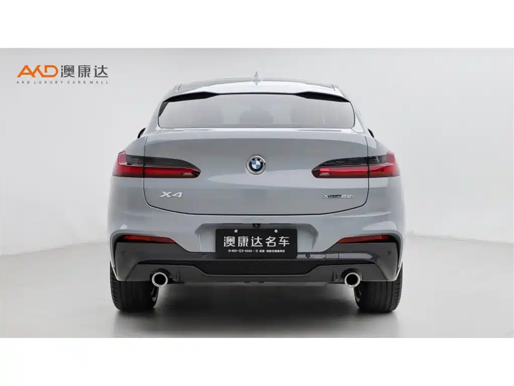 BMW X4 2019 xDrive25i M Sport