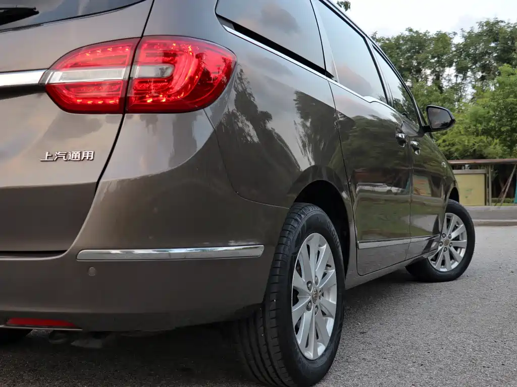 Buick GL8 — миниатюра 10