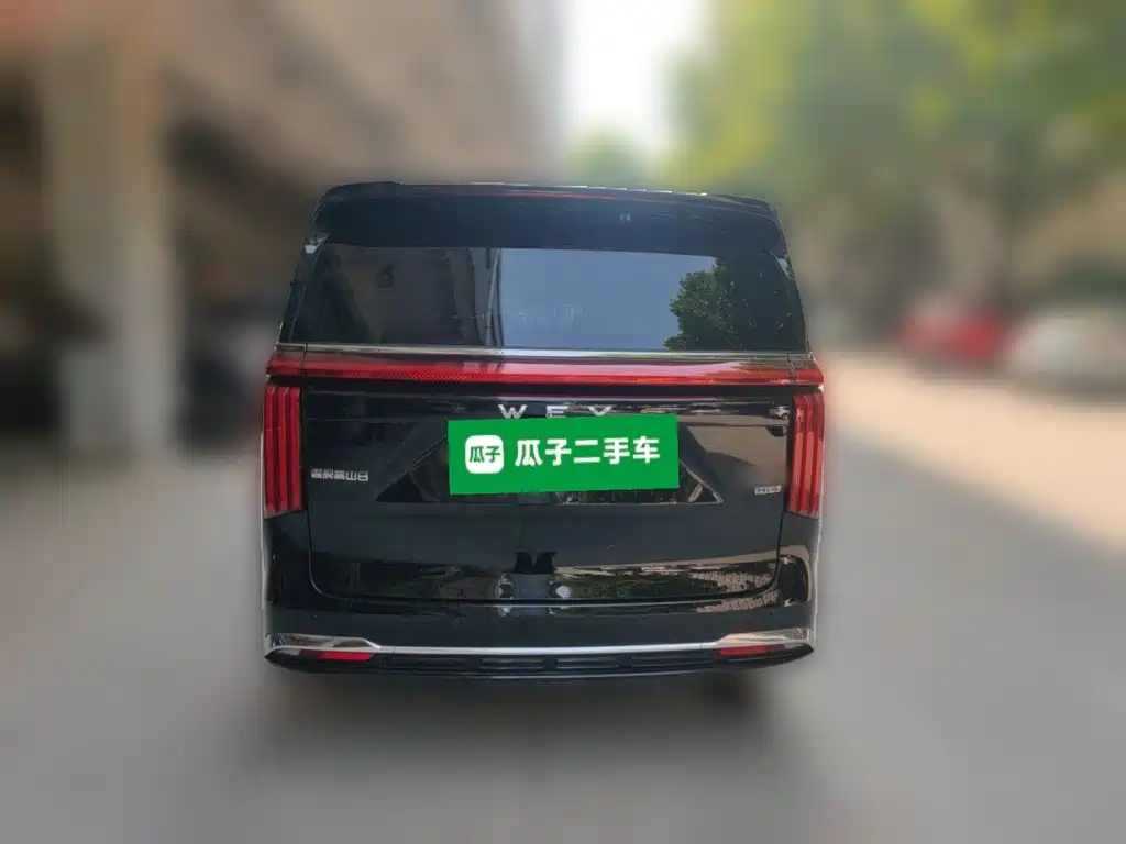 Wey Wey Gaoshan New Energy — миниатюра 3