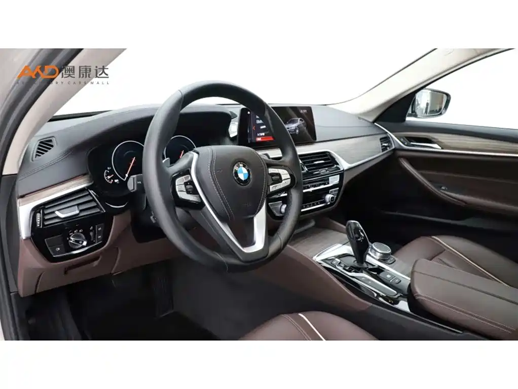 BMW 5 Series 5 2019 530Li Lead Luxury