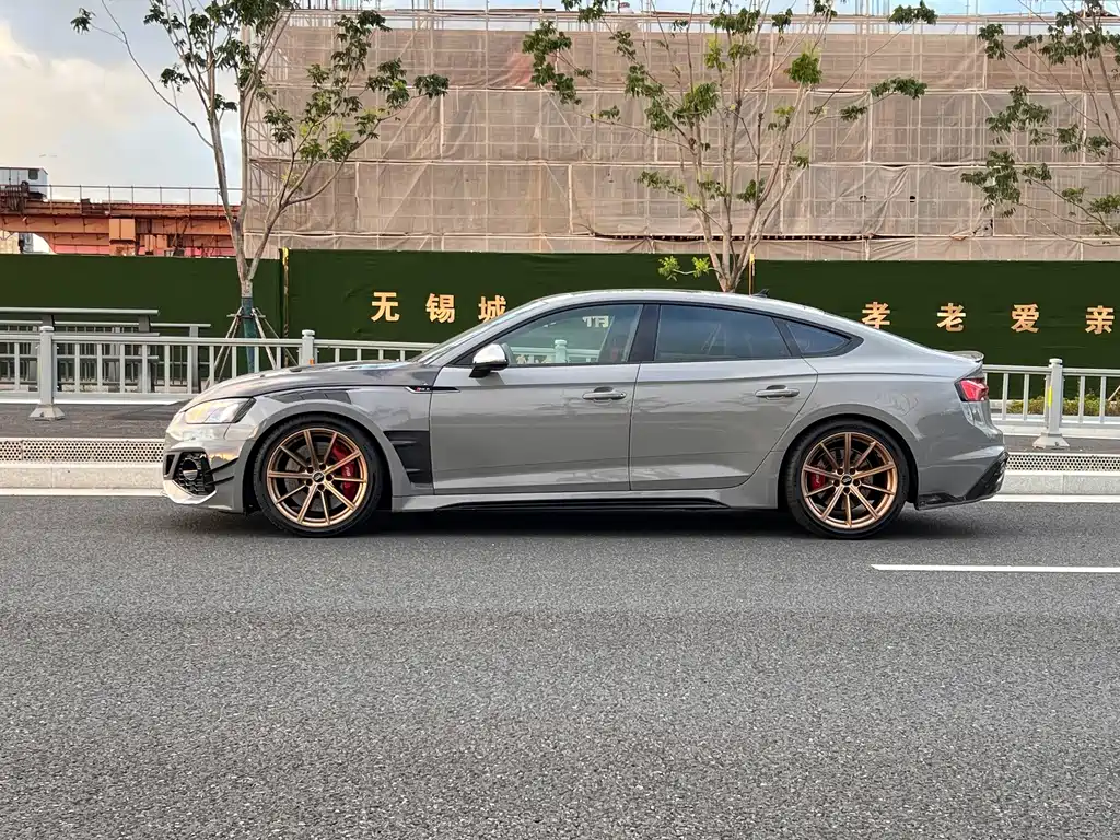 Audi RS 5 — миниатюра 3