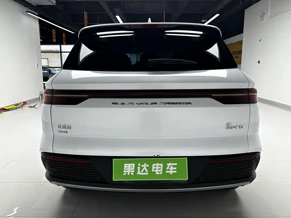 BYD Pro New Energy — миниатюра 8