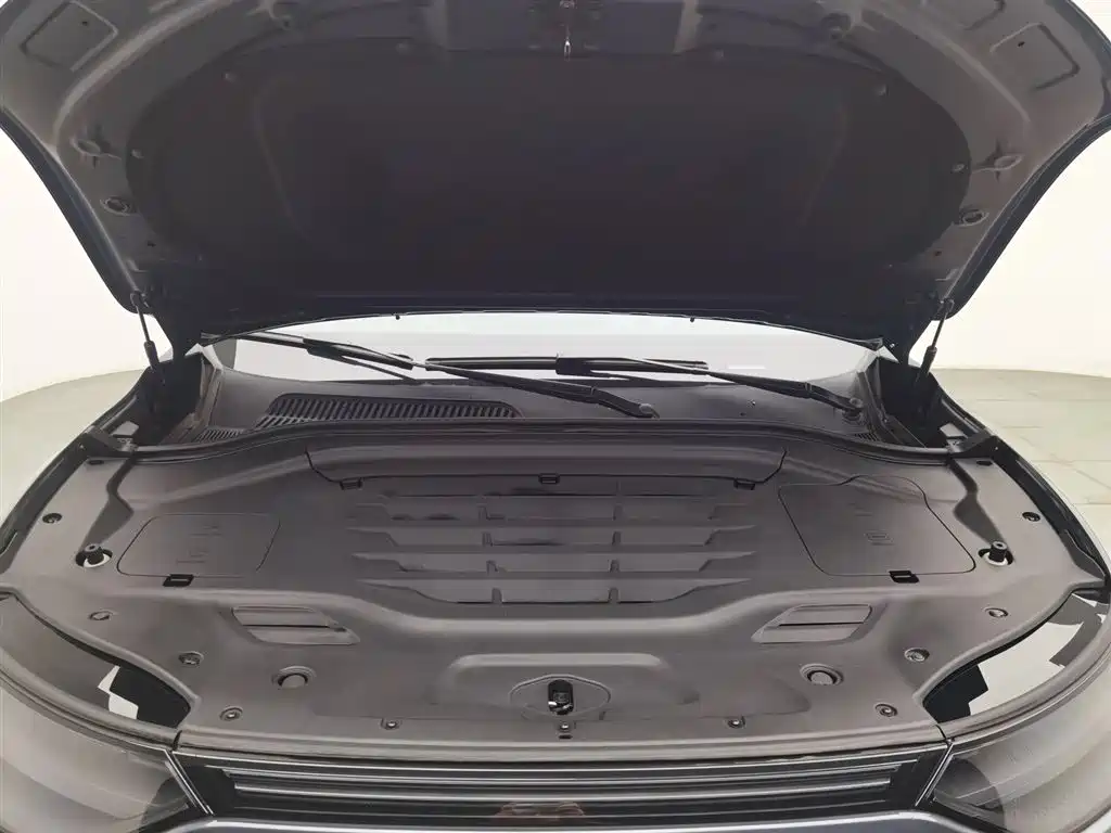 Leapmotor C11 2023 500