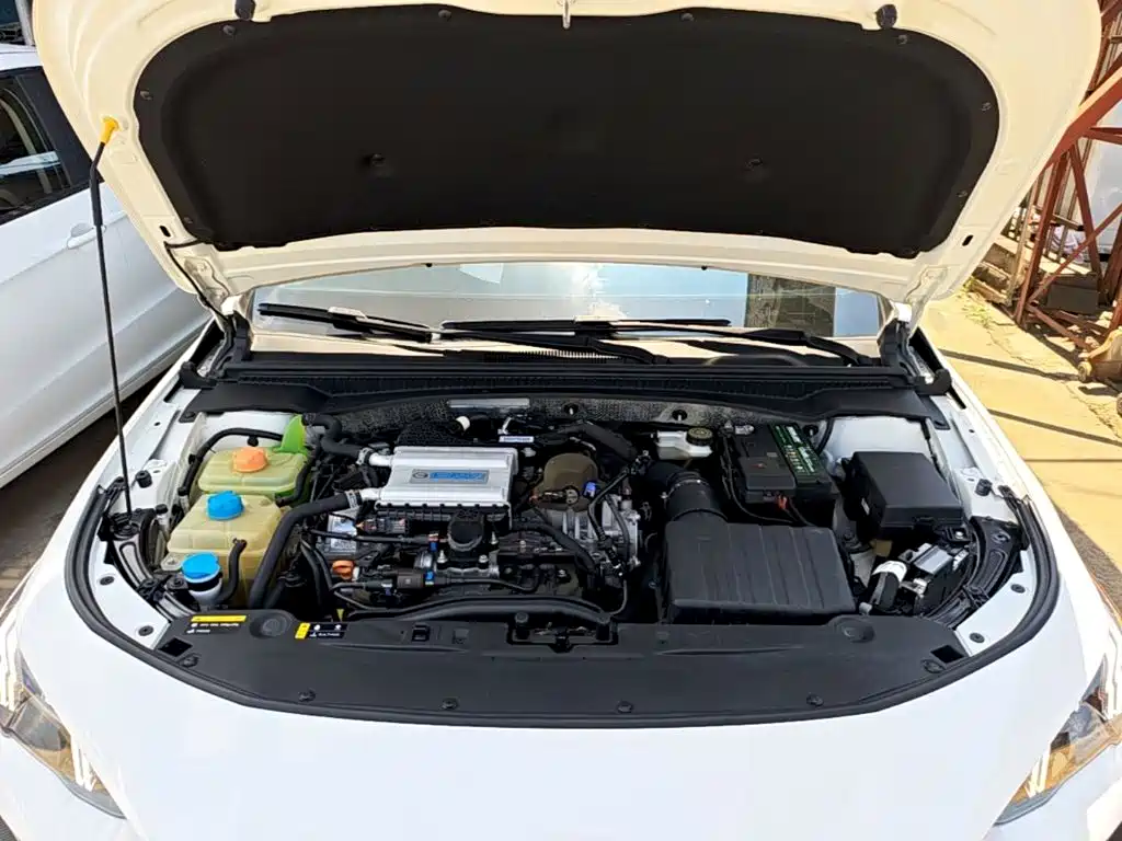 GAC Motor Shadow Leopard — миниатюра 20