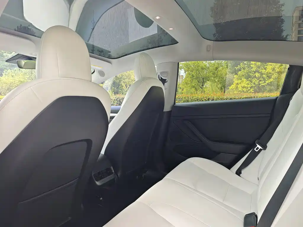 Tesla Model 3 — миниатюра 5