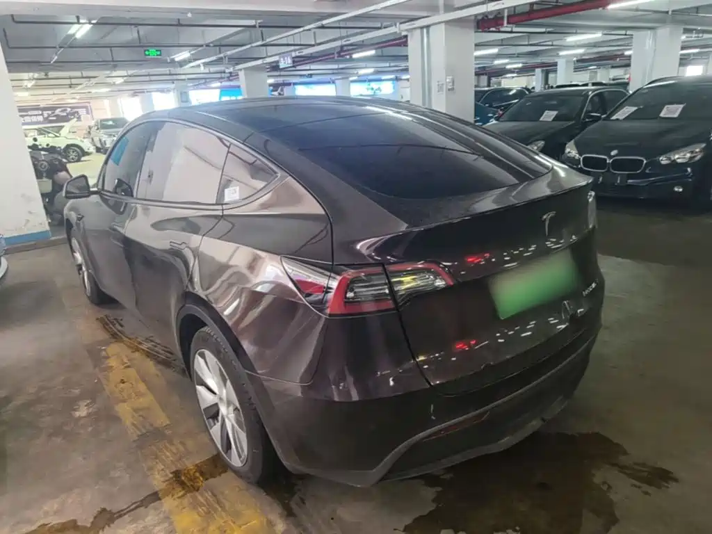 Tesla Model Y — миниатюра 5