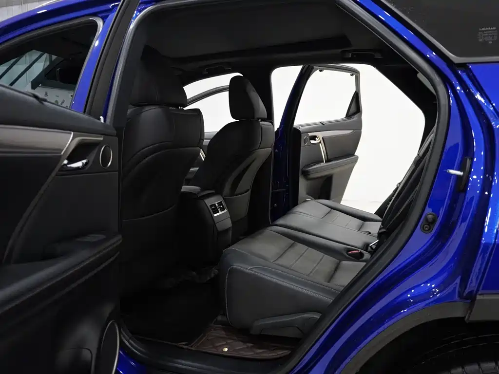 Lexus RX 2020 300 F SPORT