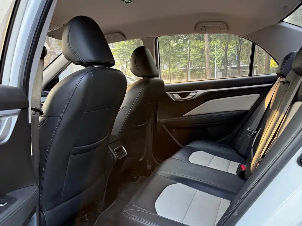 GEELY AUTOMOBILE VISION