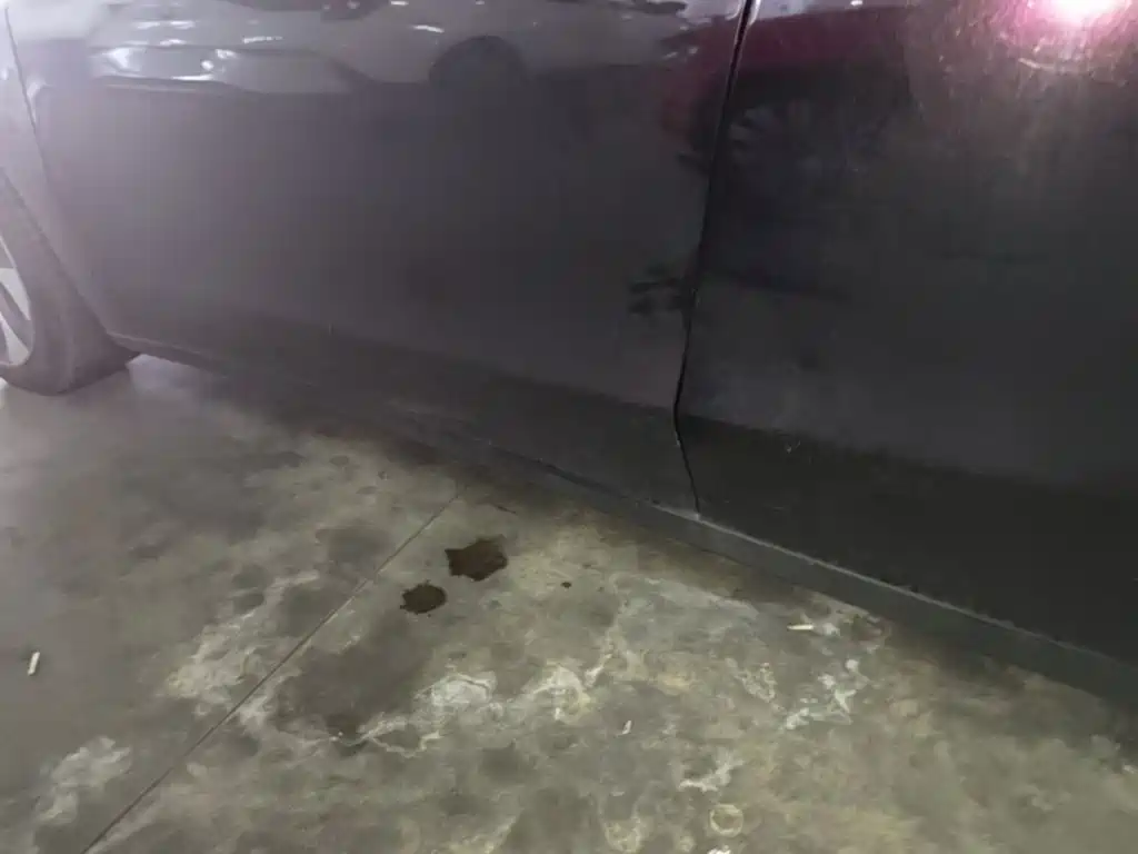 Tesla Model Y — миниатюра 22