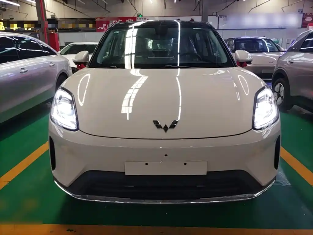 Wuling BinguoS S 2025 430km Flagship
