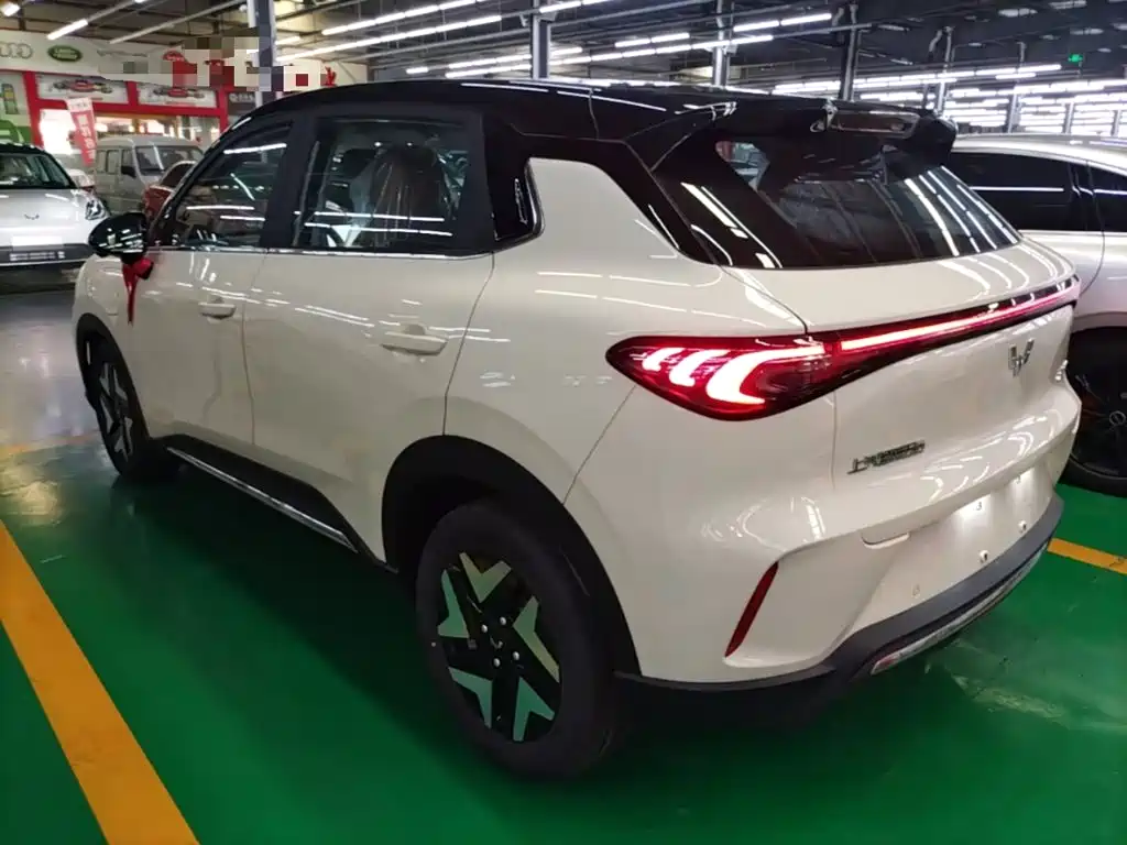 Wuling BinguoS S 2025 430km Flagship