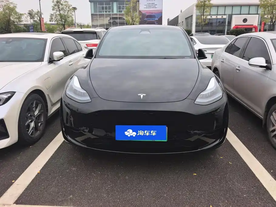 Tesla Model Y — миниатюра 2