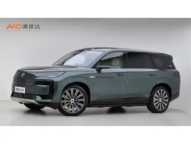2025 Denza N9