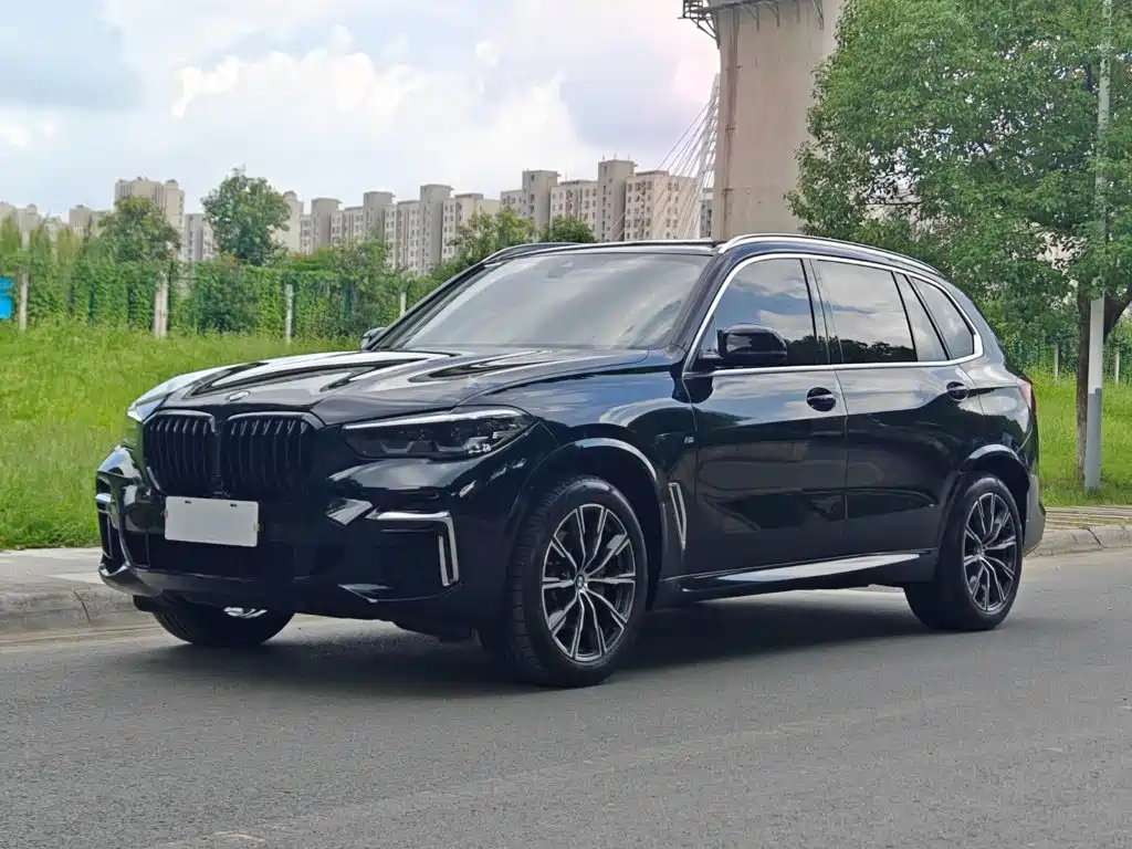 BMW X5 — миниатюра 2