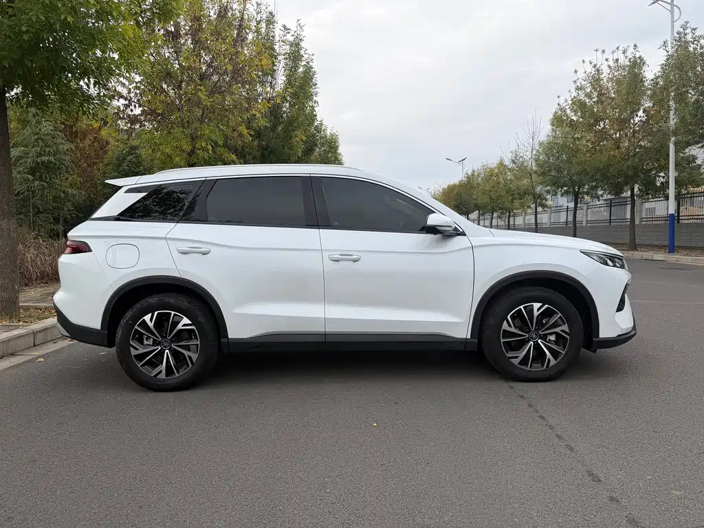 BYD Pro New Energy — миниатюра 4