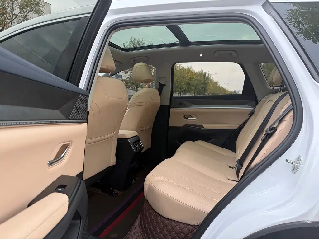 BYD Pro New Energy — миниатюра 8