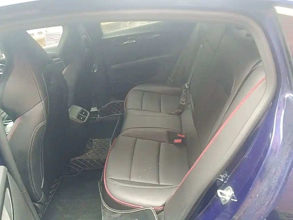 Buick Regal — миниатюра 17