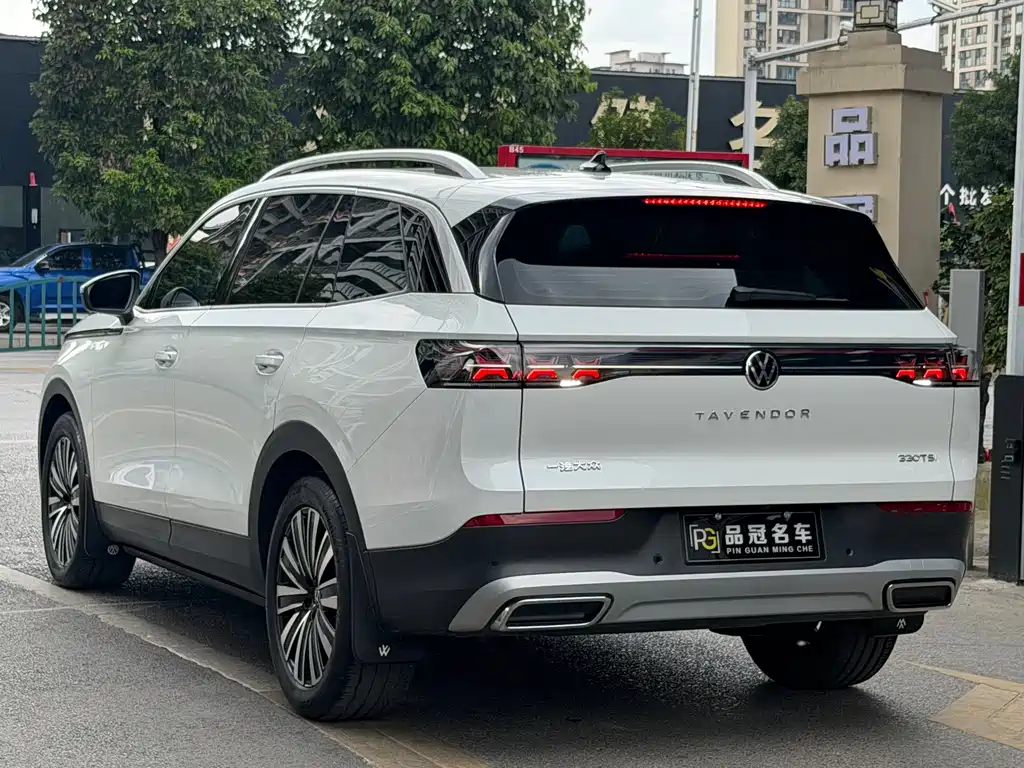Volkswagen Tavendor — миниатюра 7