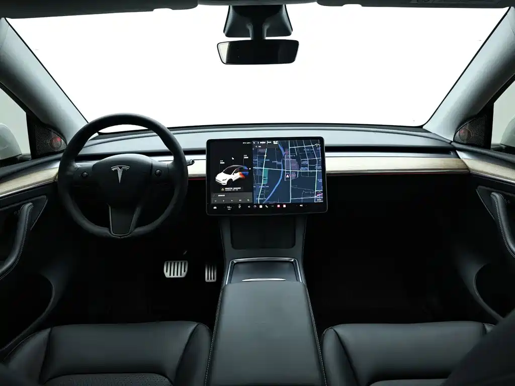 Tesla Model Y — миниатюра 15
