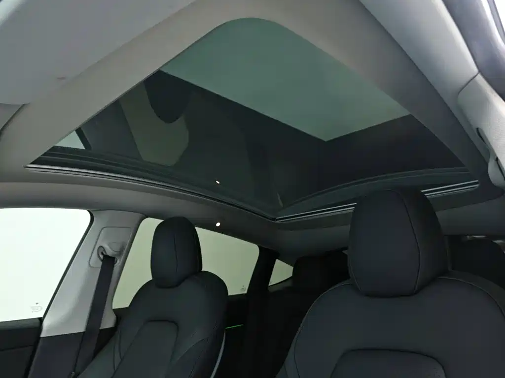 Tesla Model Y — миниатюра 13