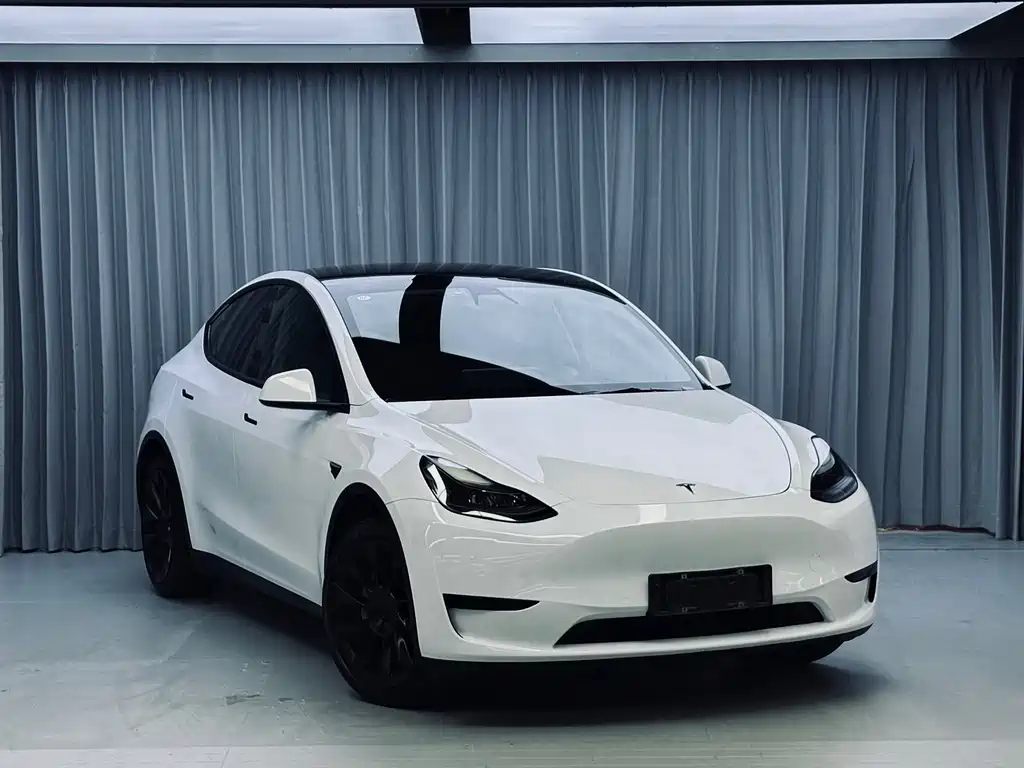 Tesla Model Y — миниатюра 3