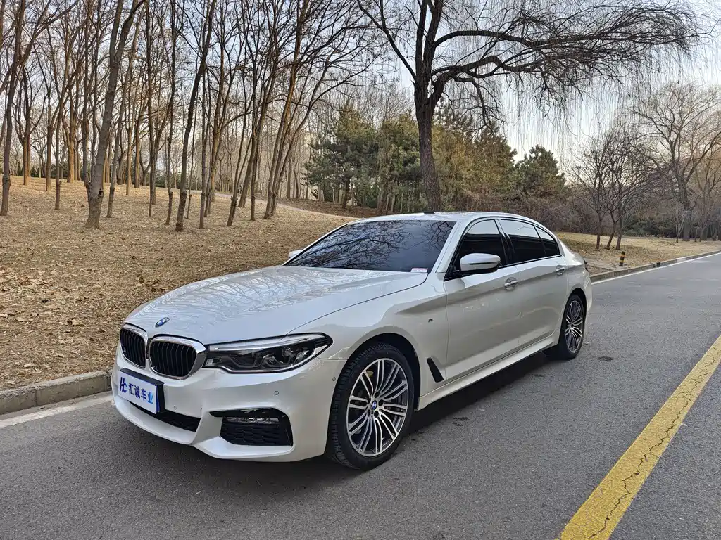 BMW 5 Series 2017