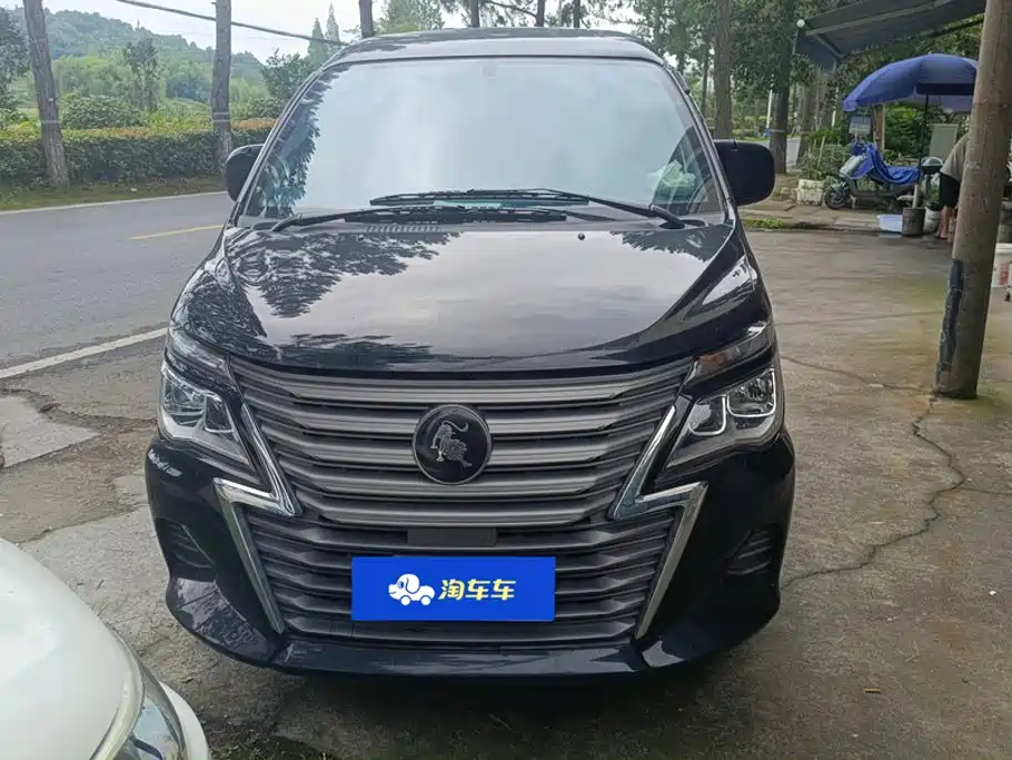 Fengxing Lingzhi — миниатюра 2