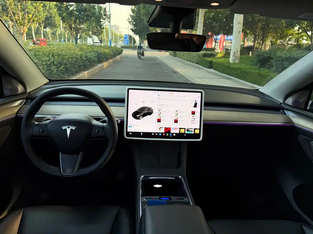 Tesla Model Y — миниатюра 9