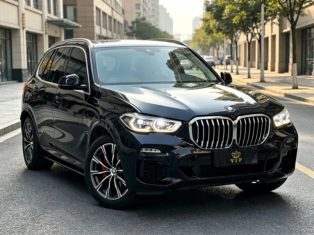 BMW X5 (Import) — миниатюра 3