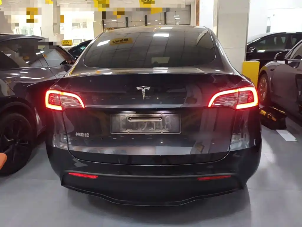 Tesla Model Y — миниатюра 6