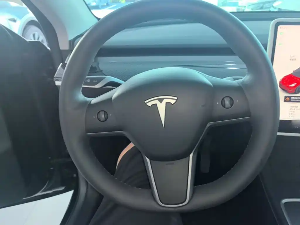 Tesla Model Y — миниатюра 11
