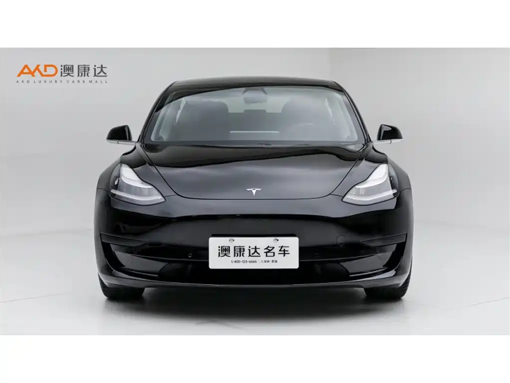 Tesla Model 3 — миниатюра 2