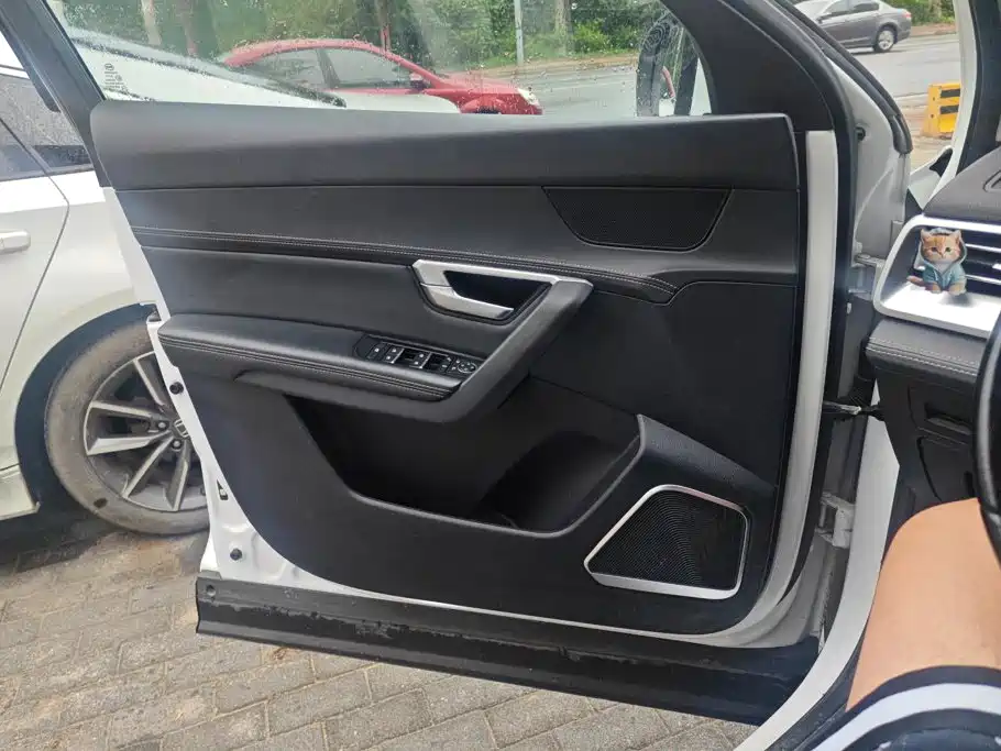 BYD Pro — миниатюра 7
