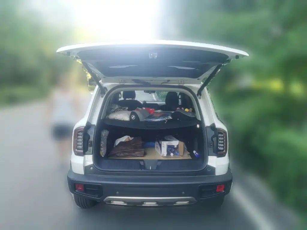 Haval Big Dog — миниатюра 15