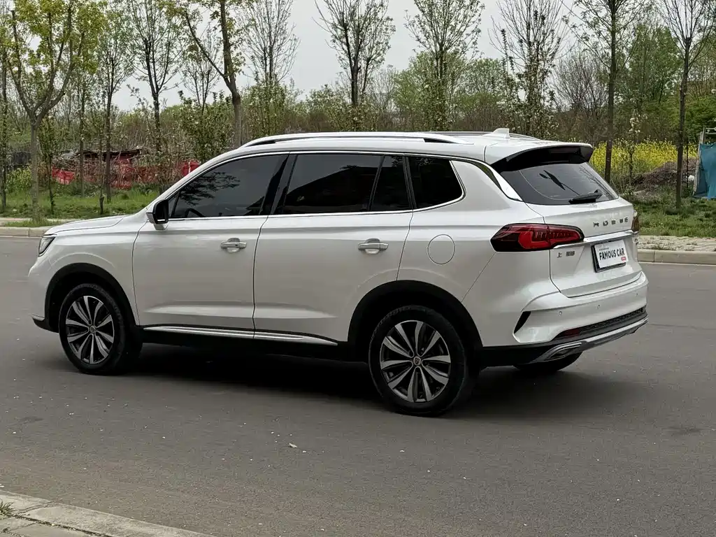 Roewe RX5 Max 2019 300TGI AT 4G Luxury