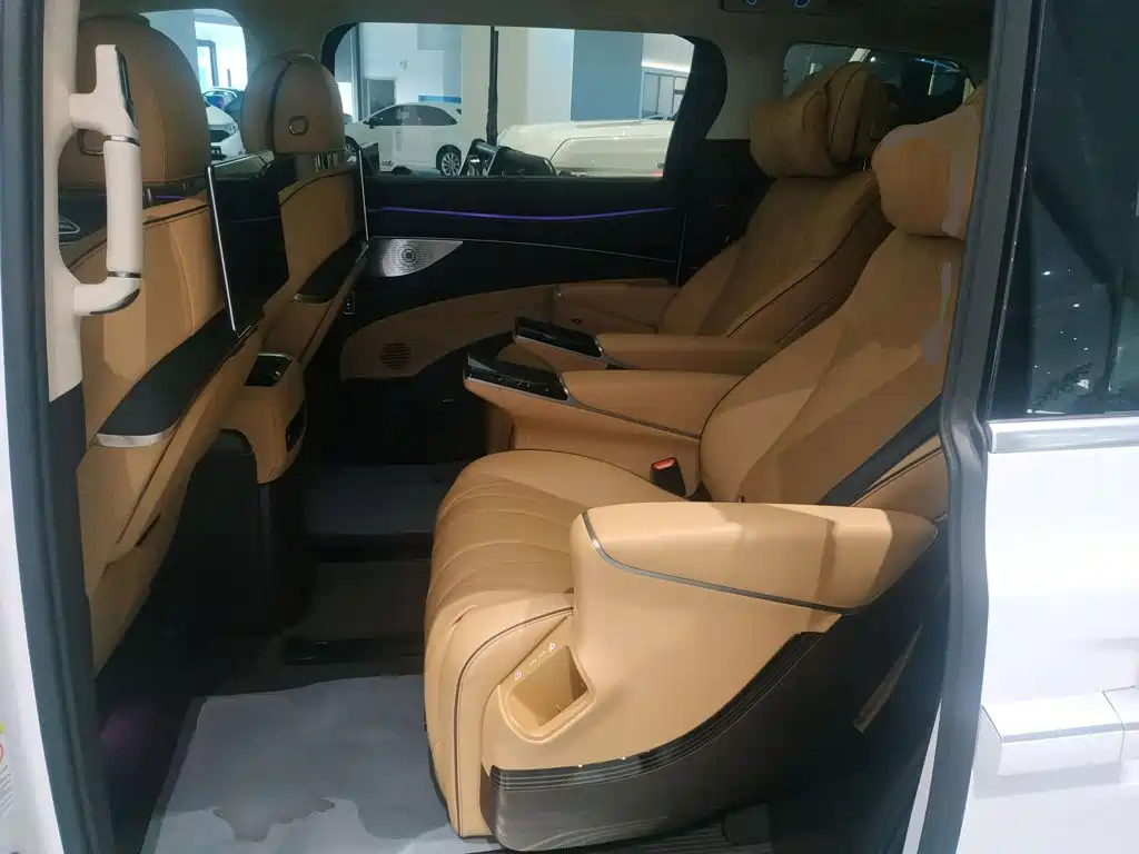 Denza Denza D9 — миниатюра 17