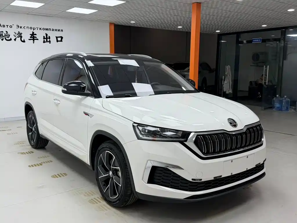 Skoda Kamiq — миниатюра 3