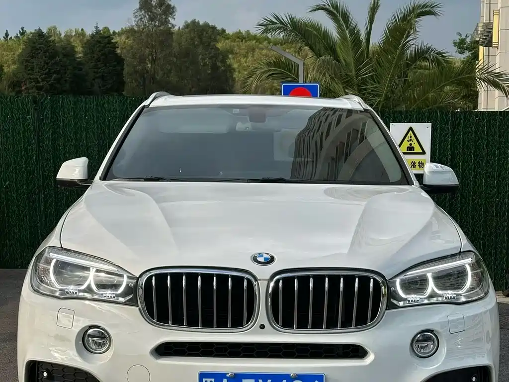 BMW X5 2018 xDrive35i Premium